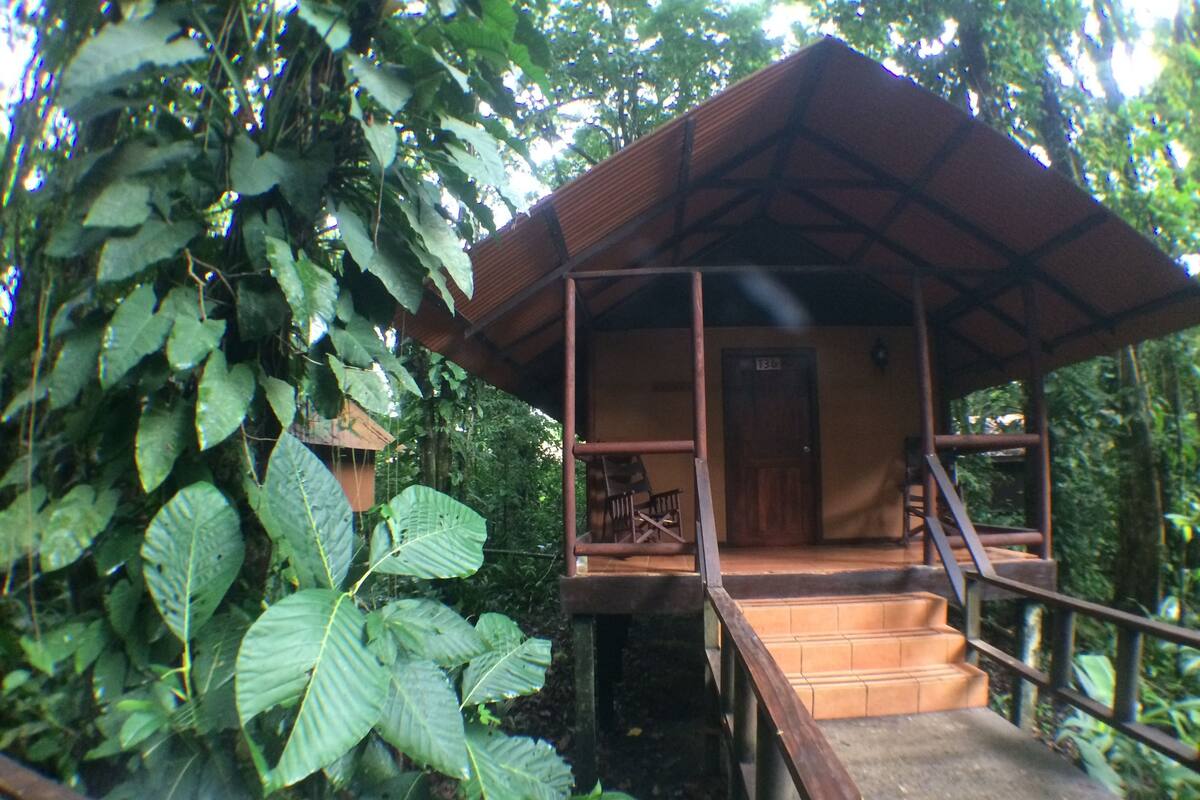 Eine Holzhütte mit Veranda und Tür, umgeben von dichtem Grün.