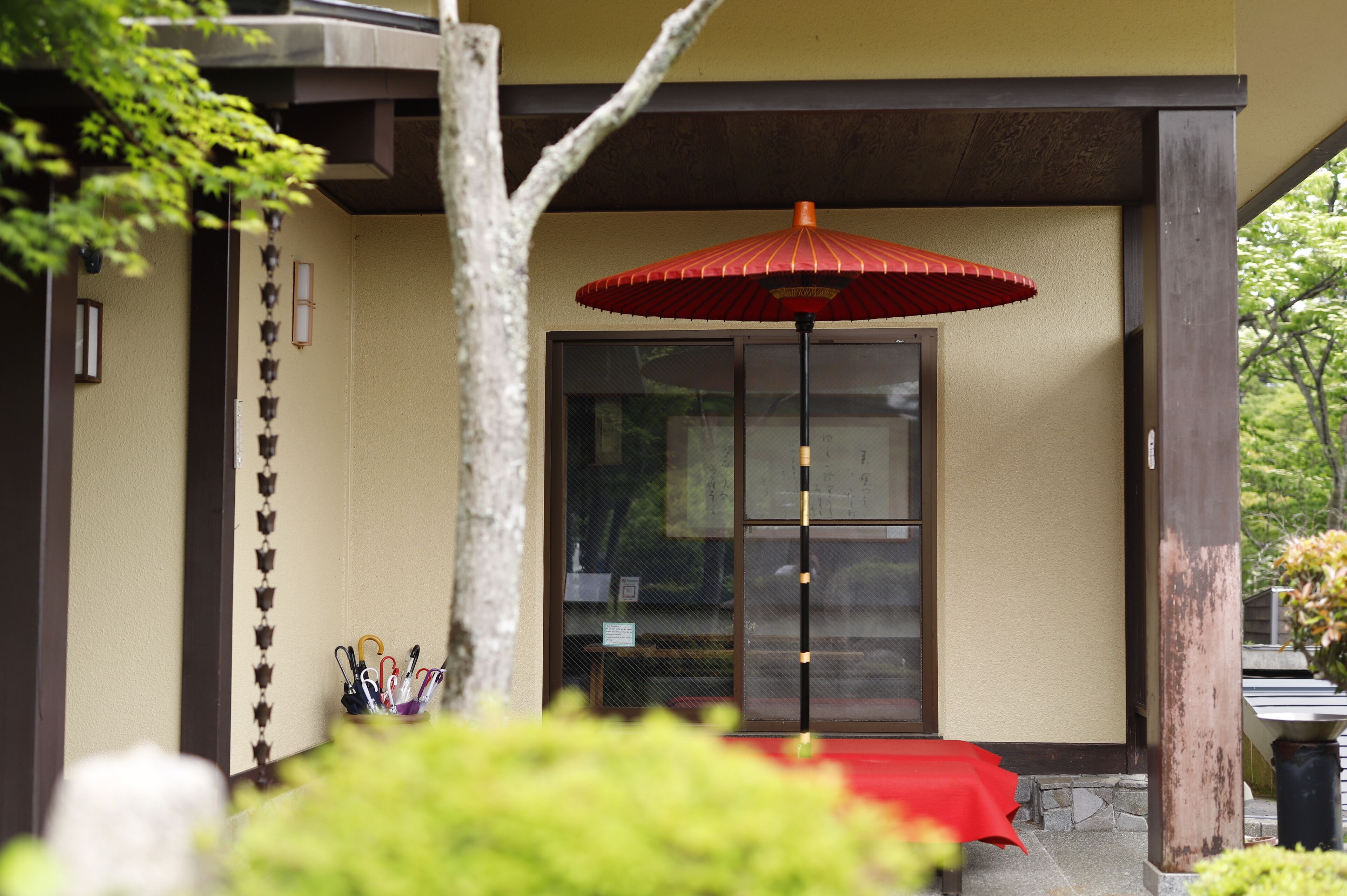 テラス / パティオ