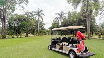 Golf view