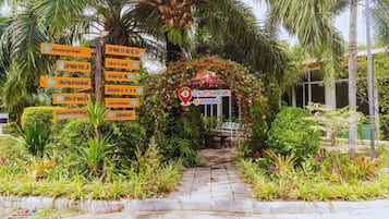 Garden view
