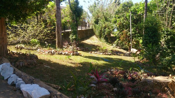 A garden with a stone pathway, various plants, and a wooden fence.