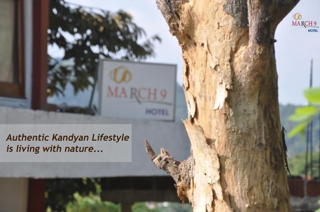 A tree trunk with a sign for March9 Hotel in the background.