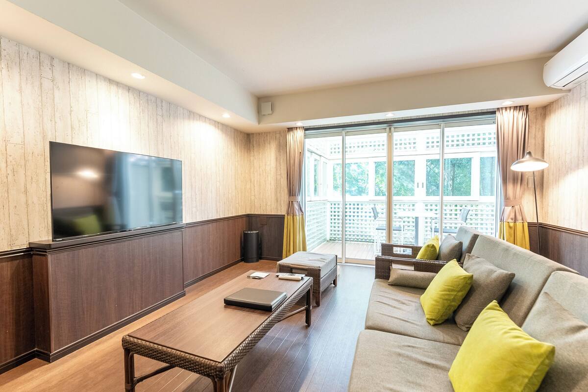 Flat-screen TV