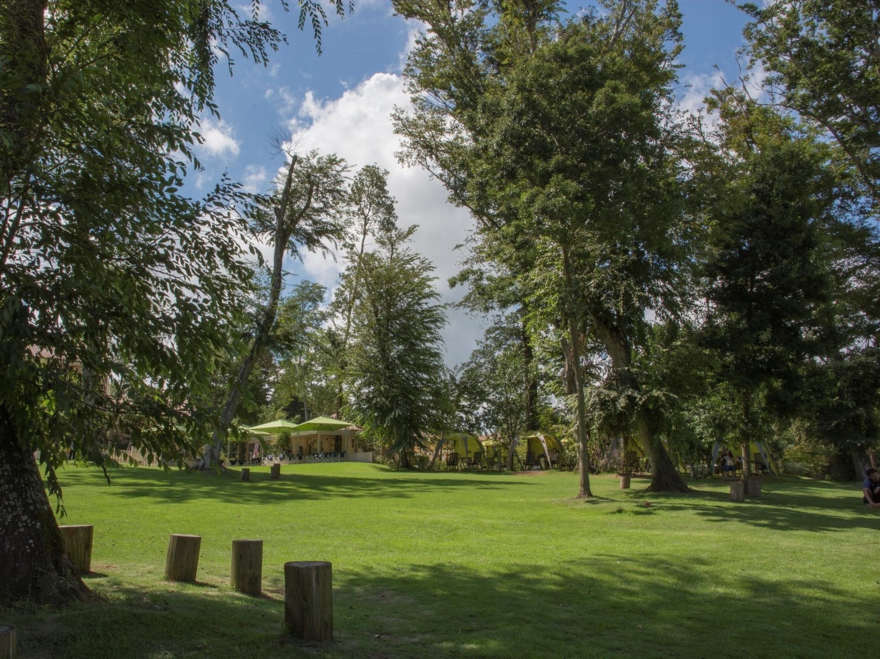 pet-friendly amenities