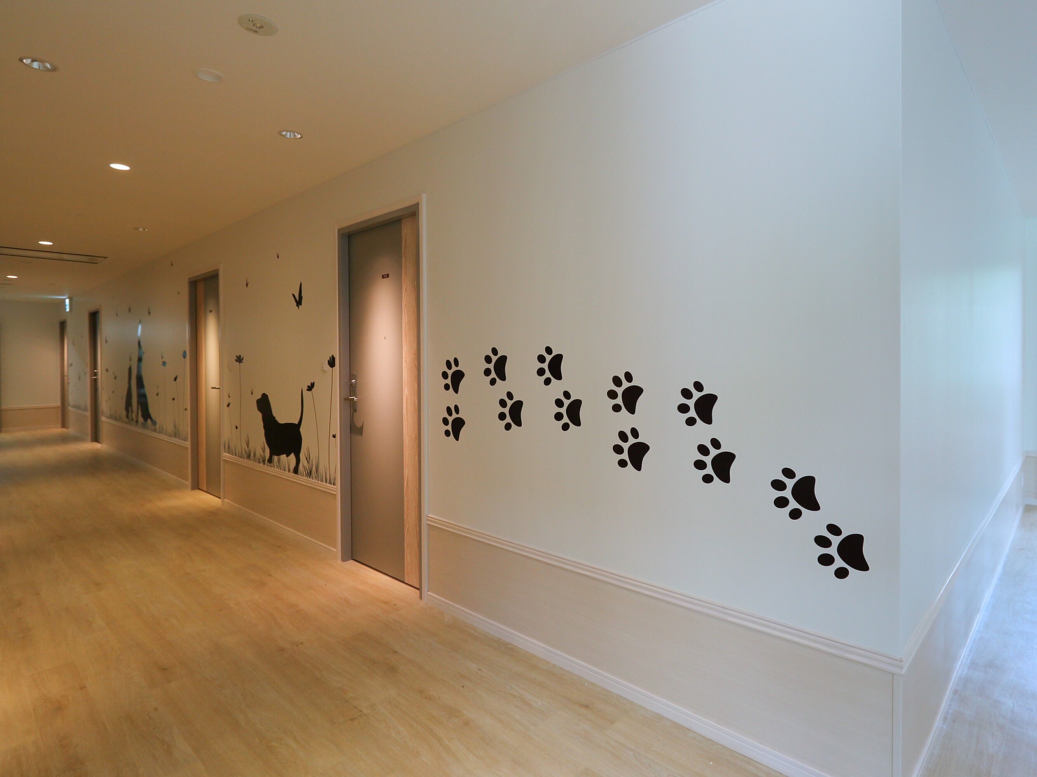 premium bedding, desk, free wifi, bed sheets