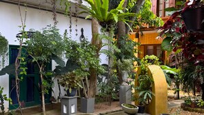A courtyard with various potted plants, a small water feature, and a statue. - Gomez Place (Negombo)