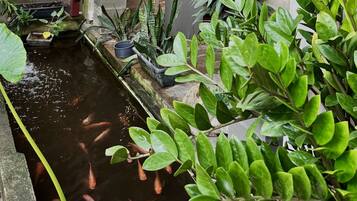 Taman