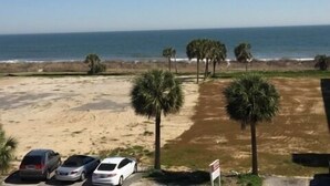 A beach view with parked cars and palm trees.
