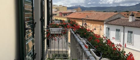 Vue de la chambre