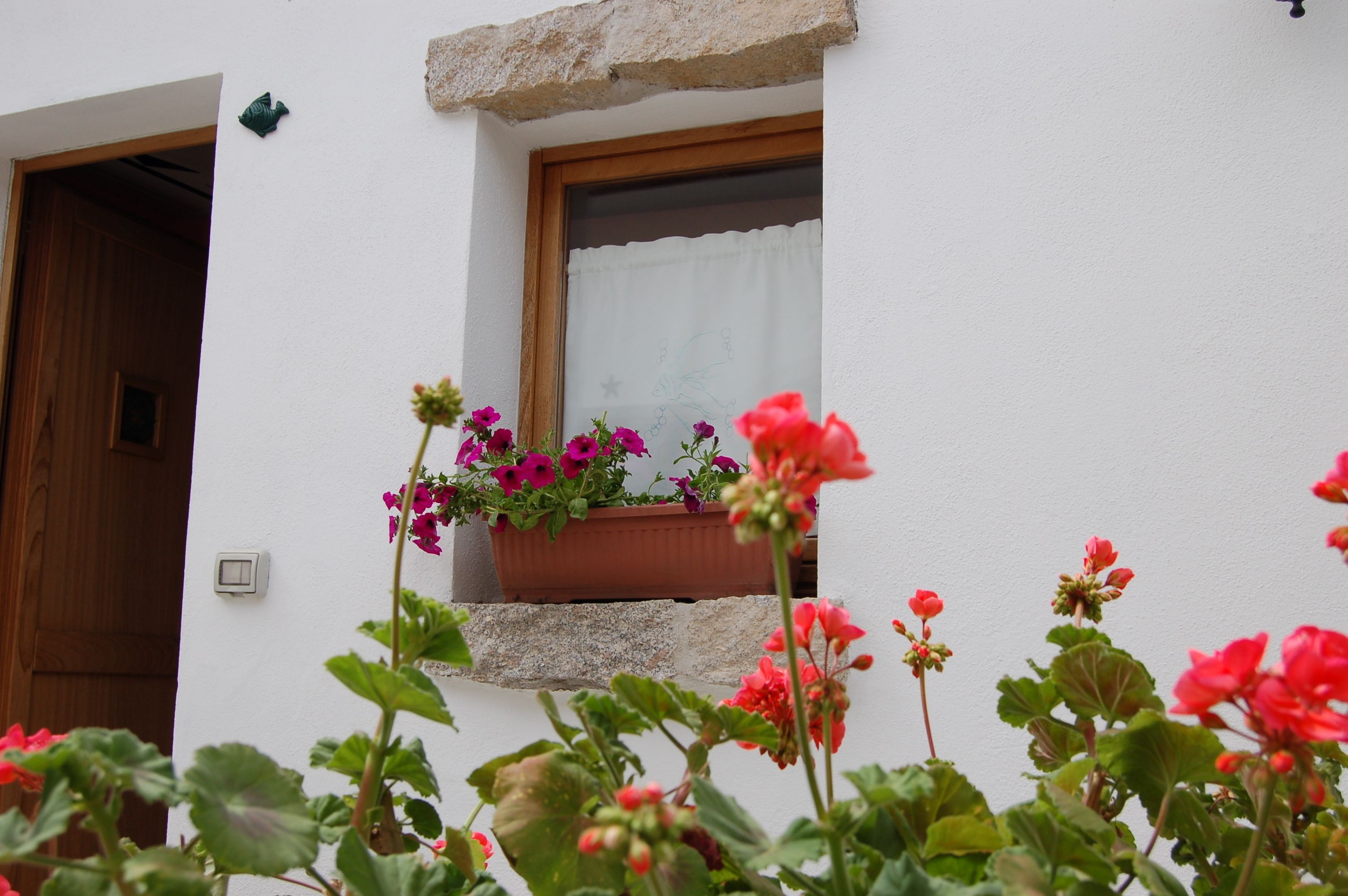 A white building with a wooden door and a window with a curtain. There is a flower box with pink and purple flowers on the window sill.
