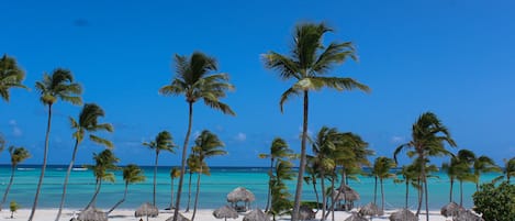 Vue sur la plage ou l’océan