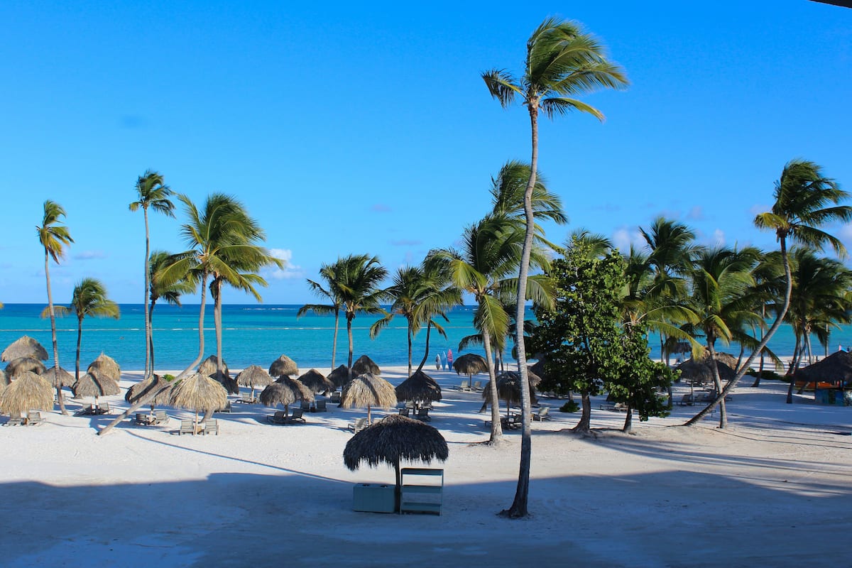 A beach with palm trees, thatched umbrellas, and a clear blue sky.
