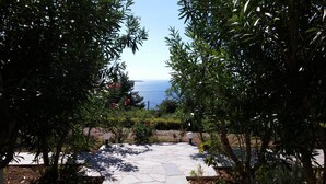 En sti af sten snor sig hen til udsigt over havet, omgivet af frodig vegetation og en klar himmel.