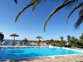 Una piscina azul cristalina con sillas de descanso y sombrillas, rodeada de palmeras y vista al mar.