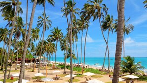 Un complejo turístico en la playa, con palmeras, tumbonas y sombrillas.