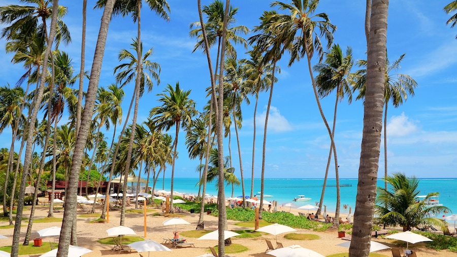 Grand Oca Maragogi Resort - All inclusive
