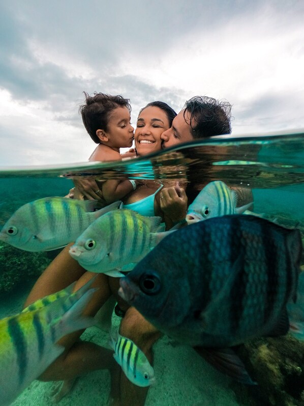Una persona bajo el agua rodeada de peces.