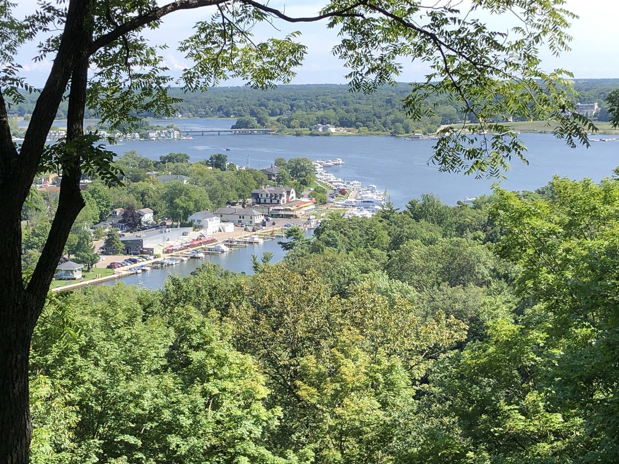 A marina with boats docked, surrounded by lush greenery and a bridge in the distance.