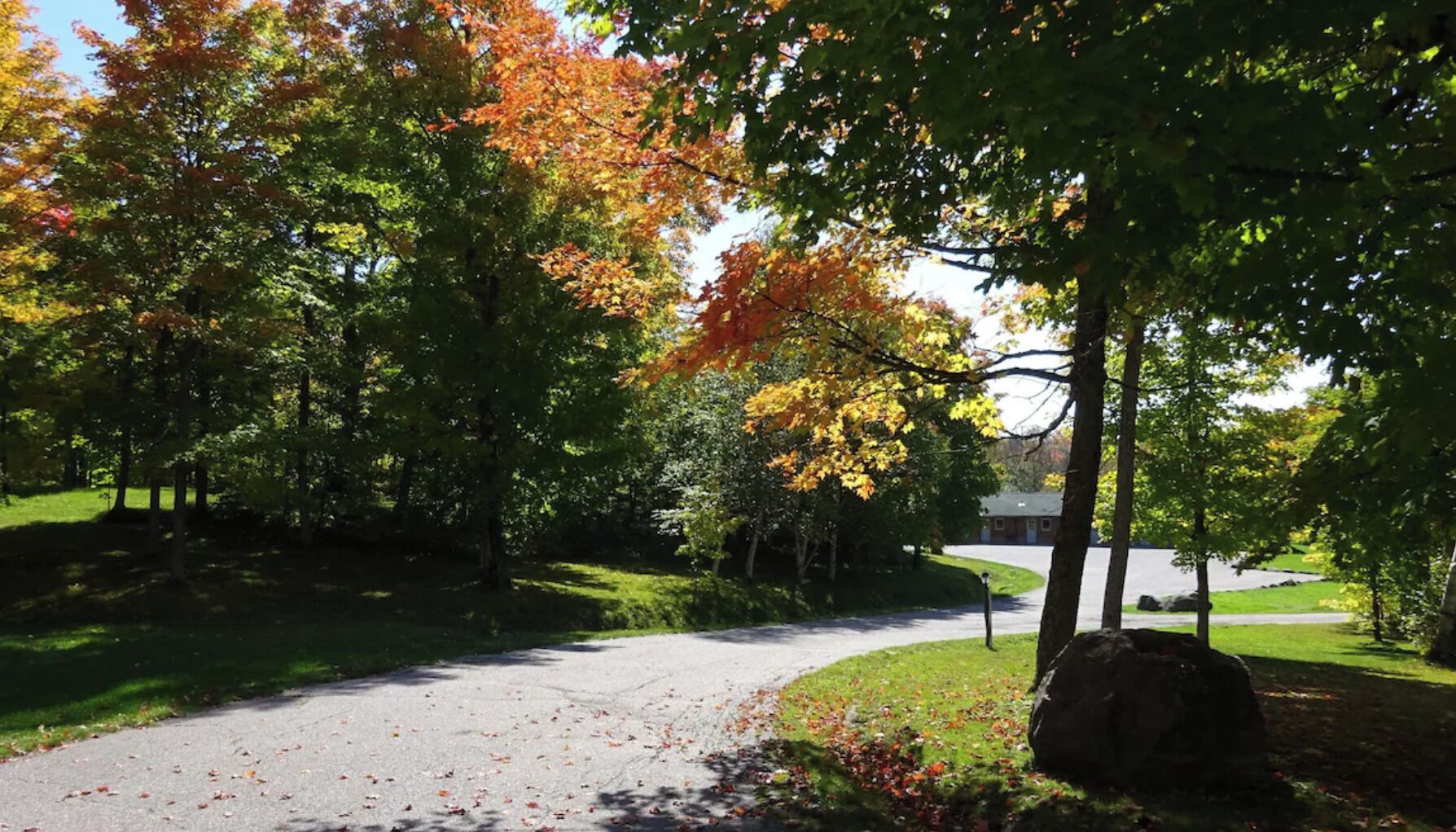 A paved driveway leading to a building surrounded by trees with autumn foliage.