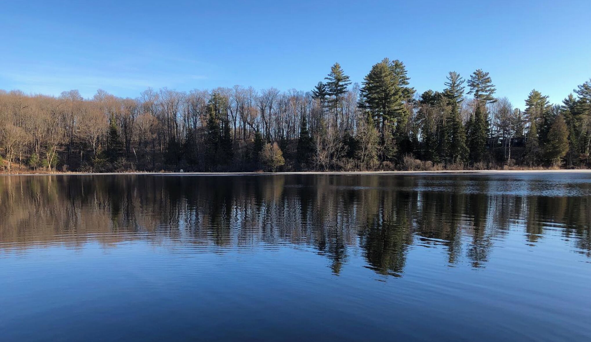 Un lago tranquilo con reflejos de árboles y un cielo despejado.