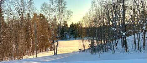 A snow-covered landscape with trees and a clear sky.