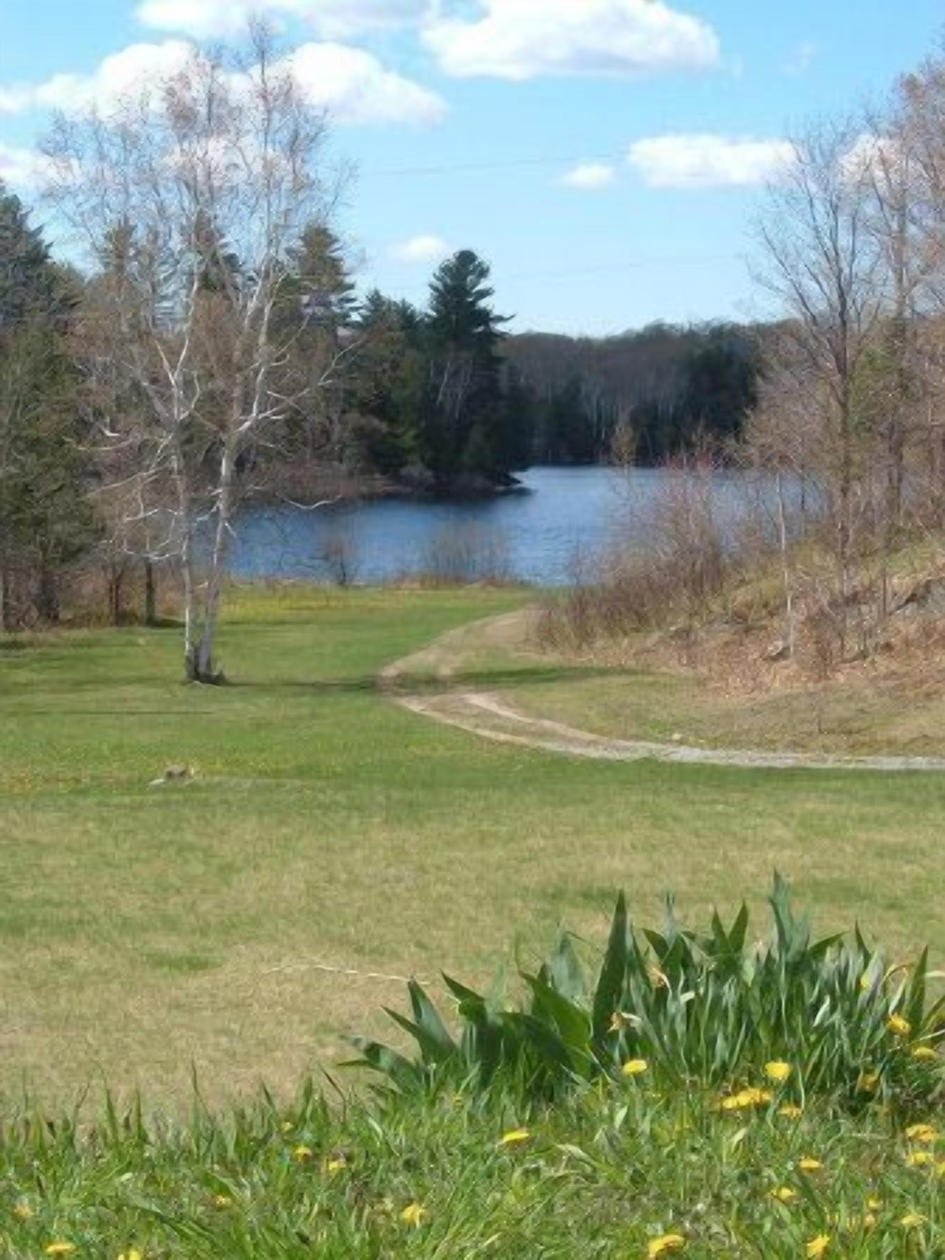 A grassy area with a path leading to a body of water, surrounded by trees and vegetation.