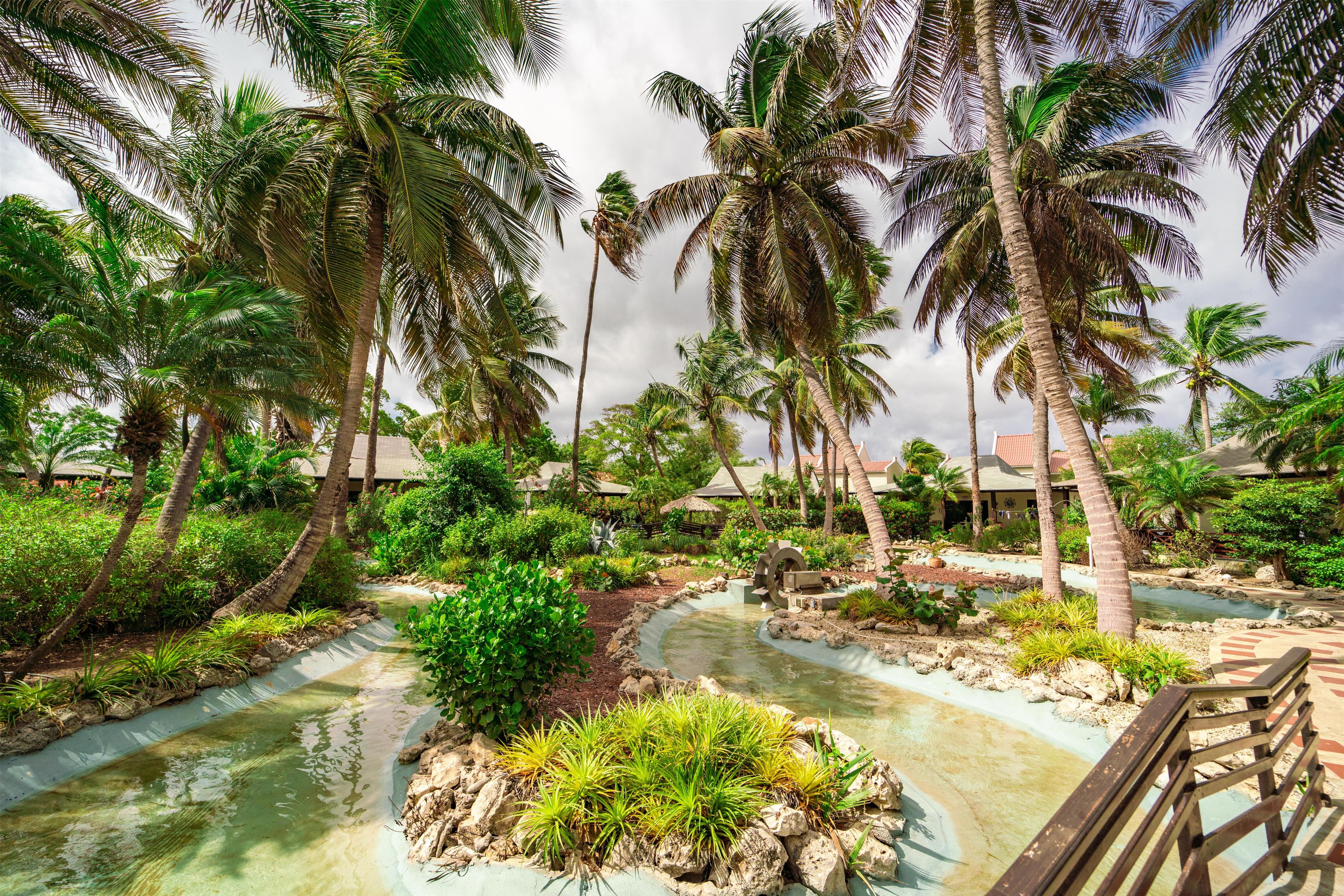 A tropical resort with palm trees, a water feature, and a wooden deck.