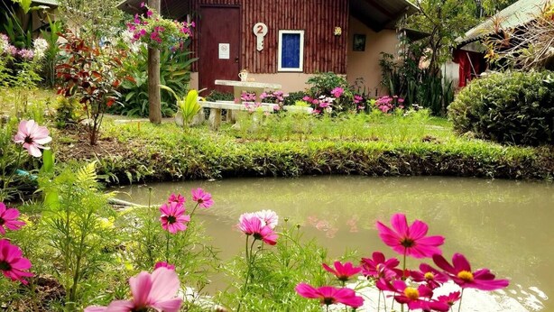 A rustic wooden building with a blue door, surrounded by a garden with a pond and pink flowers. - Rainbow House (Pai)
