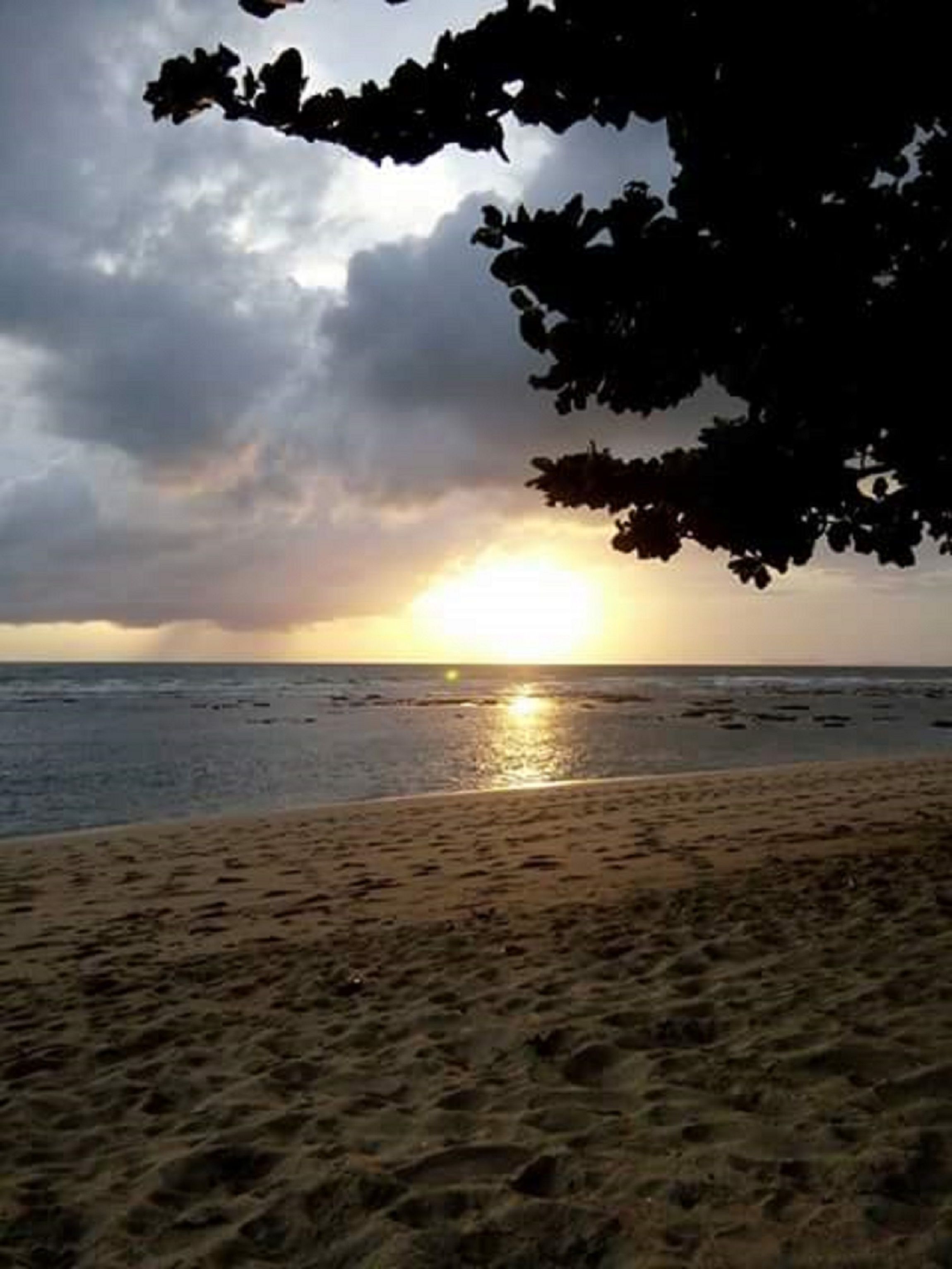 Photo - New Klong Khong Garden