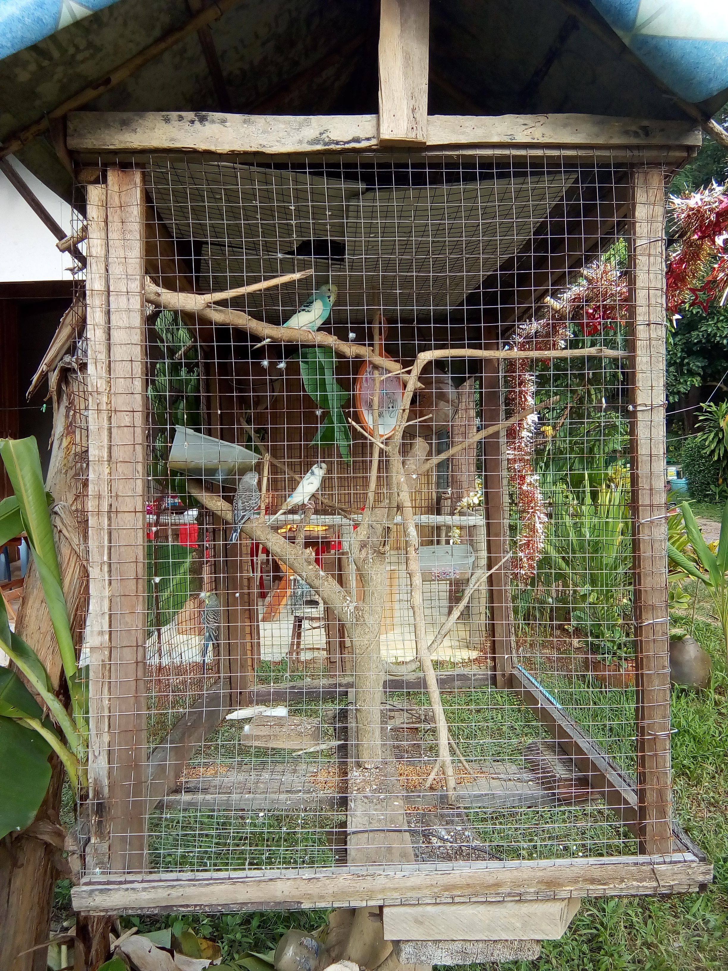 Photo - New Klong Khong Garden