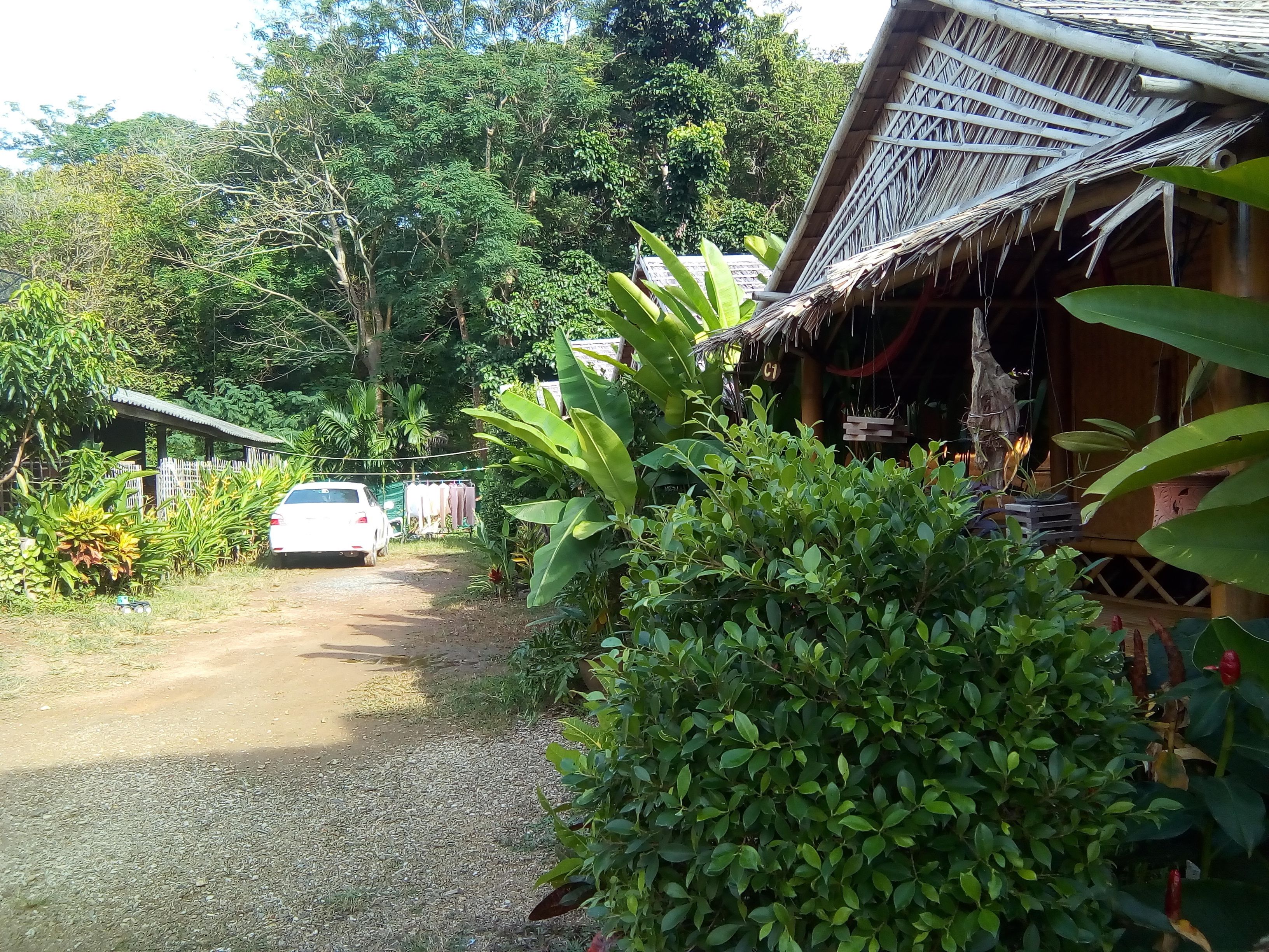 Photo - New Klong Khong Garden