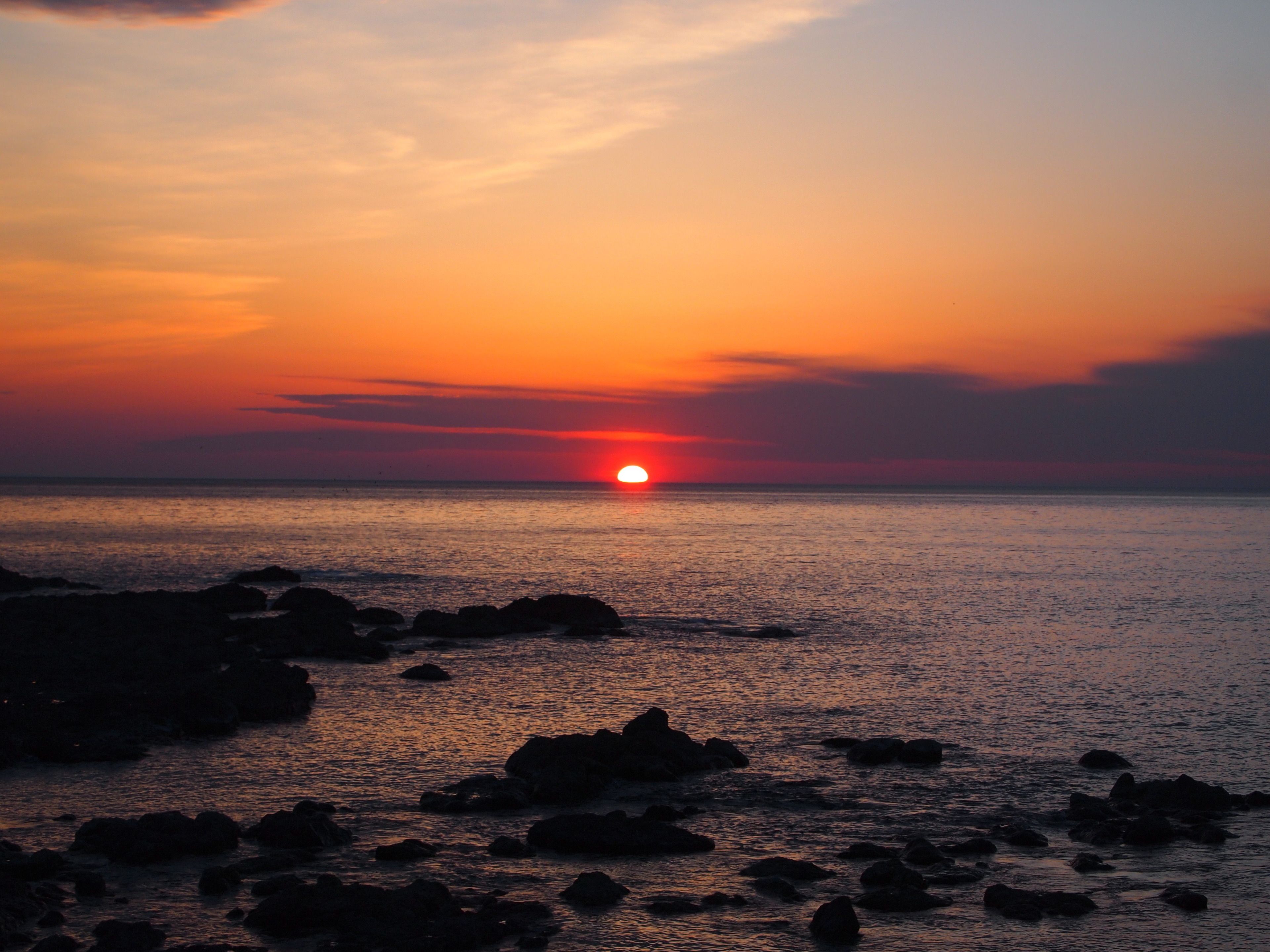 standard japanese twin, ocean view | view from room