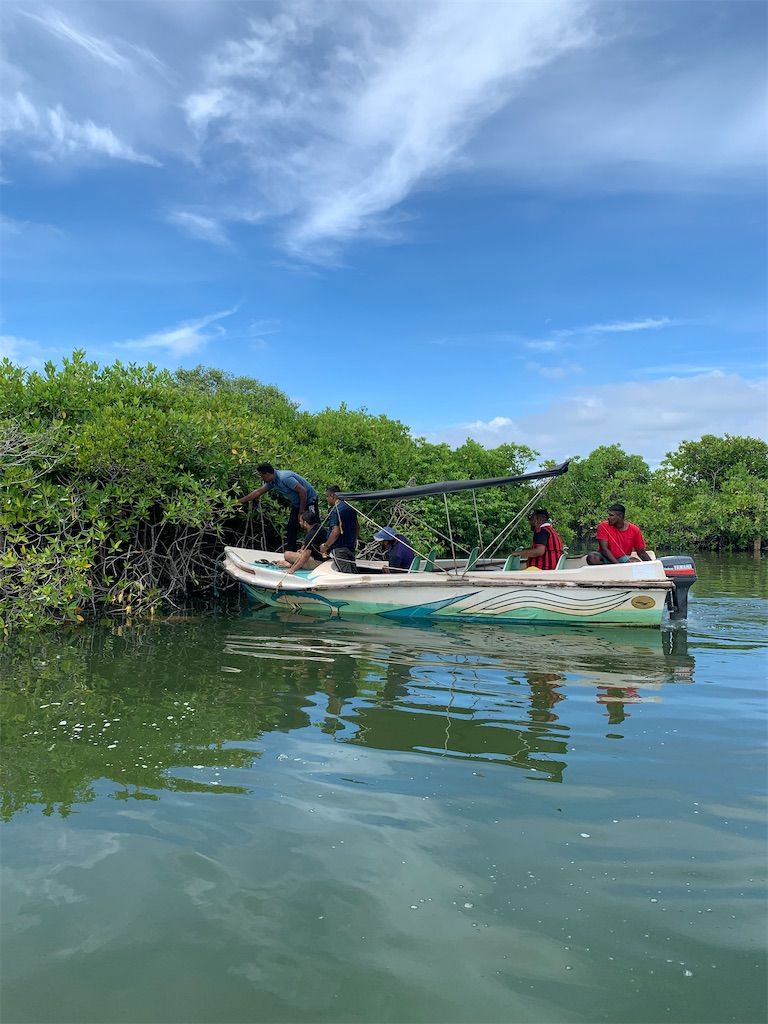 A boat with people on it, surrounded by water and greenery.