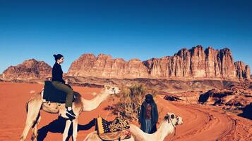 A desert landscape with two camels and a person riding one.
