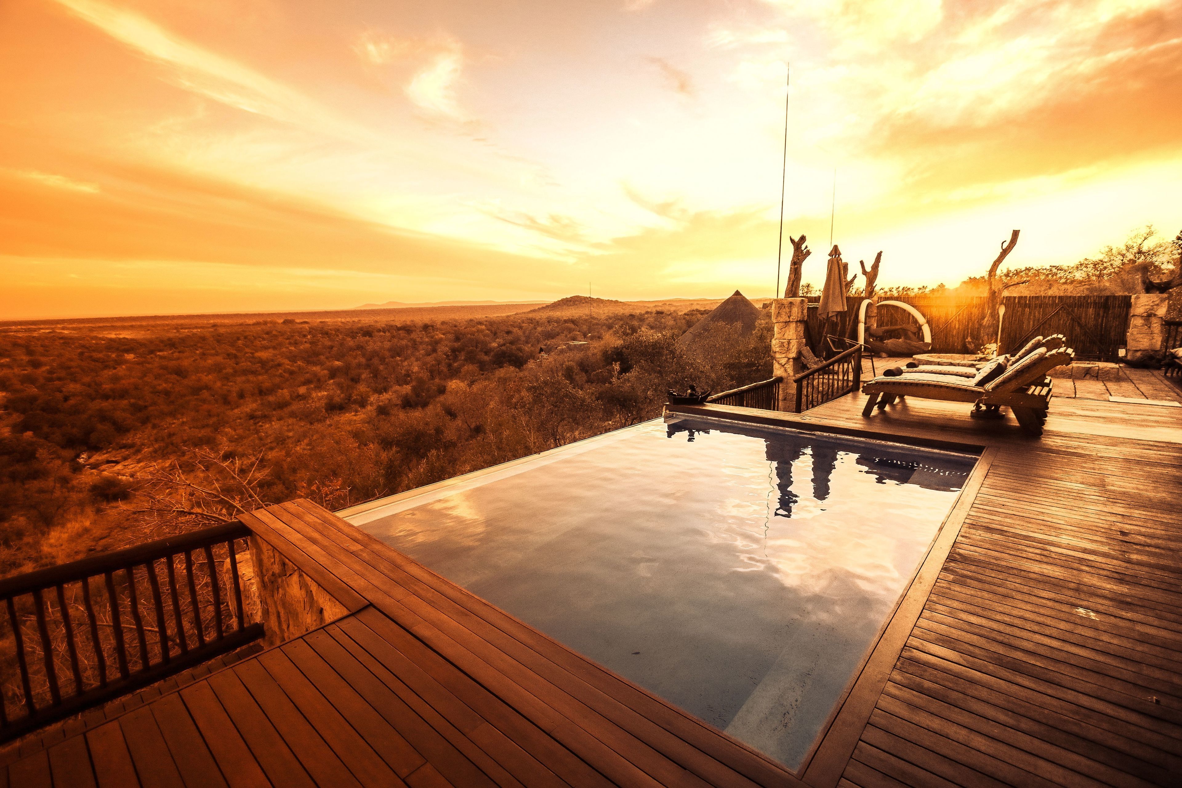 Outdoor pool, sun loungers