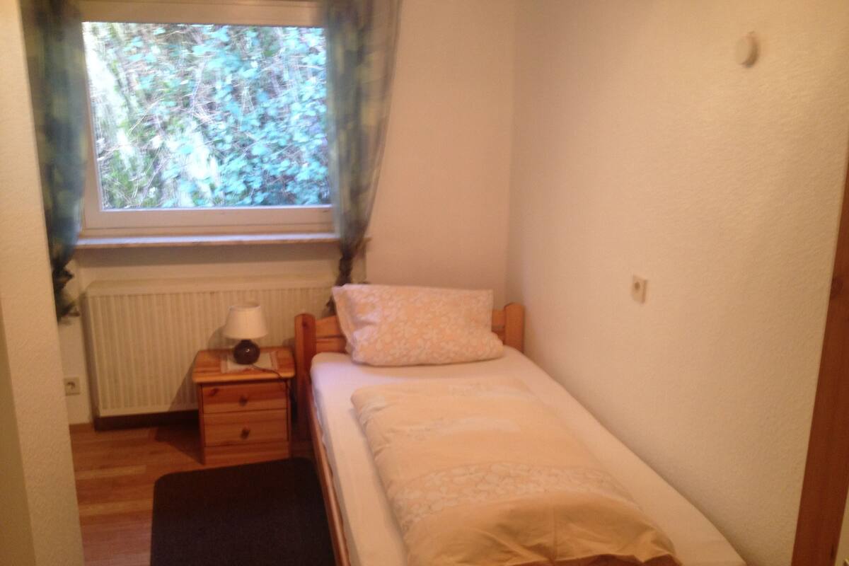 Deluxe Single Room | Desk, rollaway beds, free WiFi, bed sheets
