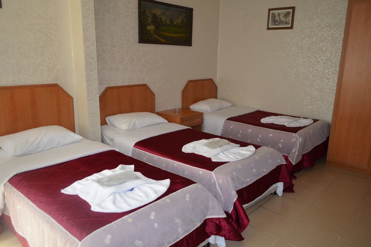 A hotel room with three single beds, each with a wooden headboard, white linens, and a red bedspread. There is a wooden nightstand between the beds, and a painting on the wall.
