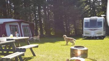 Campers can enjoy a picnic at the outdoor table, with a tent and RV nearby.