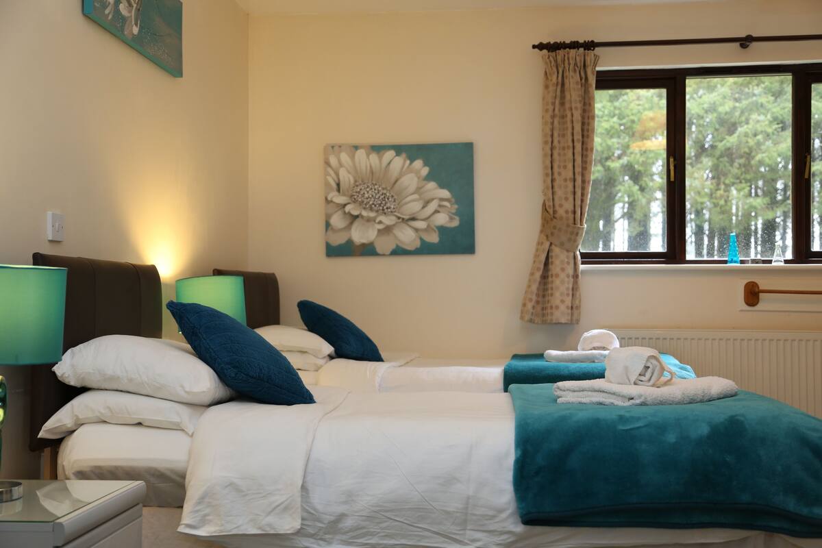 Deluxe Twin Room, Ensuite | Soundproofing, iron/ironing board (on request), bed sheets