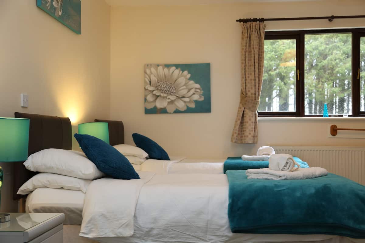 Deluxe Twin kamer, en-suite badkamer | 1 slaapkamer, geluiddichte muren, een strijkplank/strijkijzer