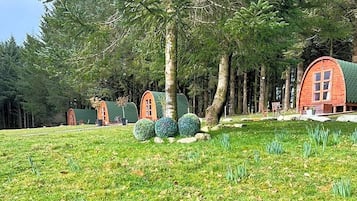 Stuga Basic - 1 queensize-säng - delat badrum | Ljudisolering, strykjärn/strykbräda och sängkläder