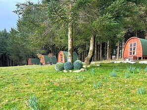 Cabaña básica, 1 cama Queen size, baño compartido | Insonorización, tabla de planchar con plancha y ropa de cama