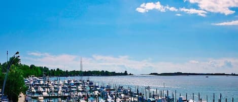 Ponton