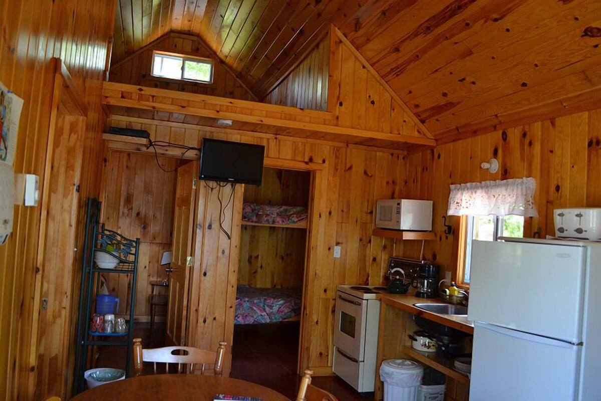 A compact cabin with a kitchen, dining area, and a bunk bed.