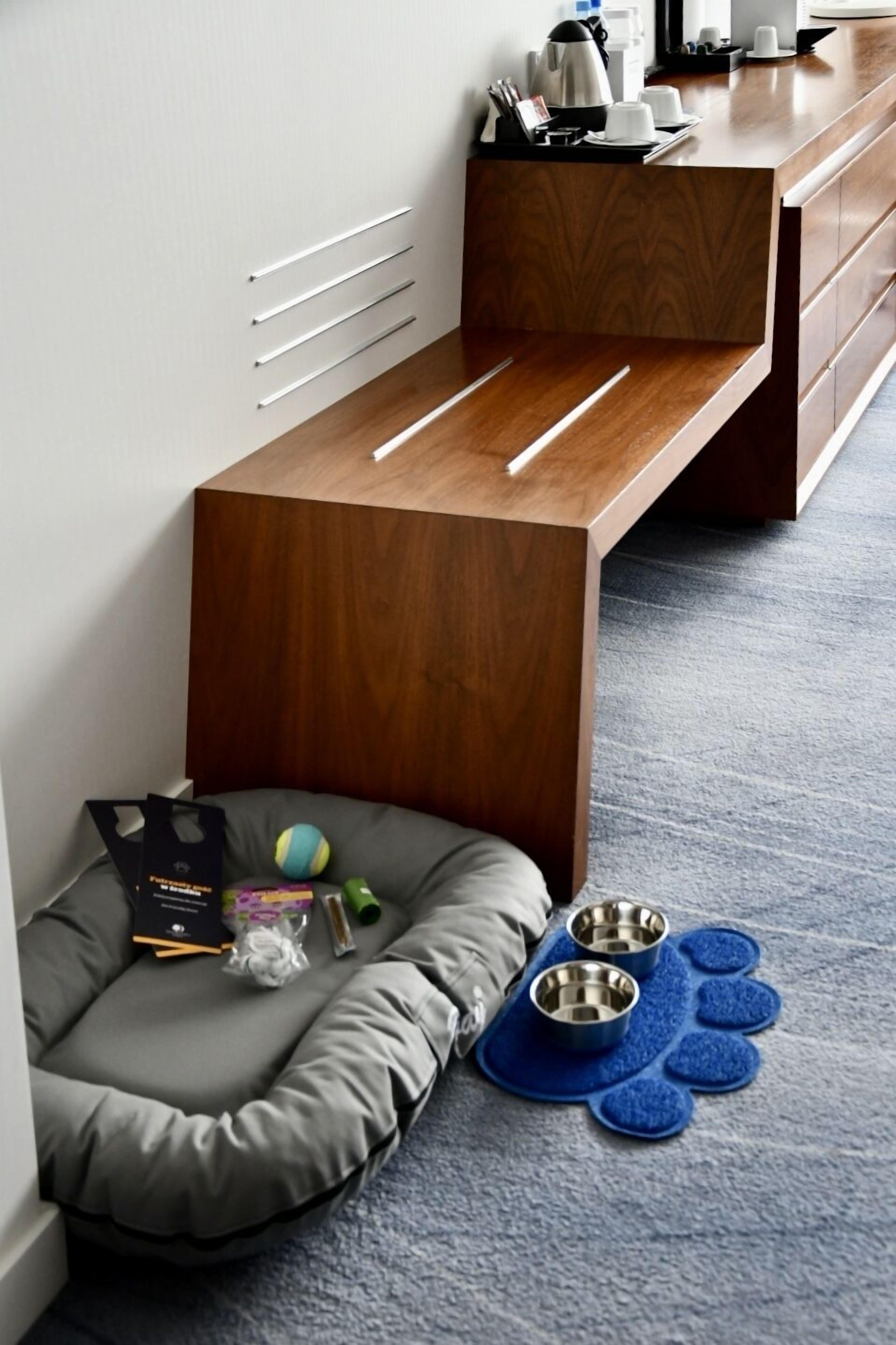 A modern hotel room with a wooden bench, a pet bed, and pet bowls on the floor.