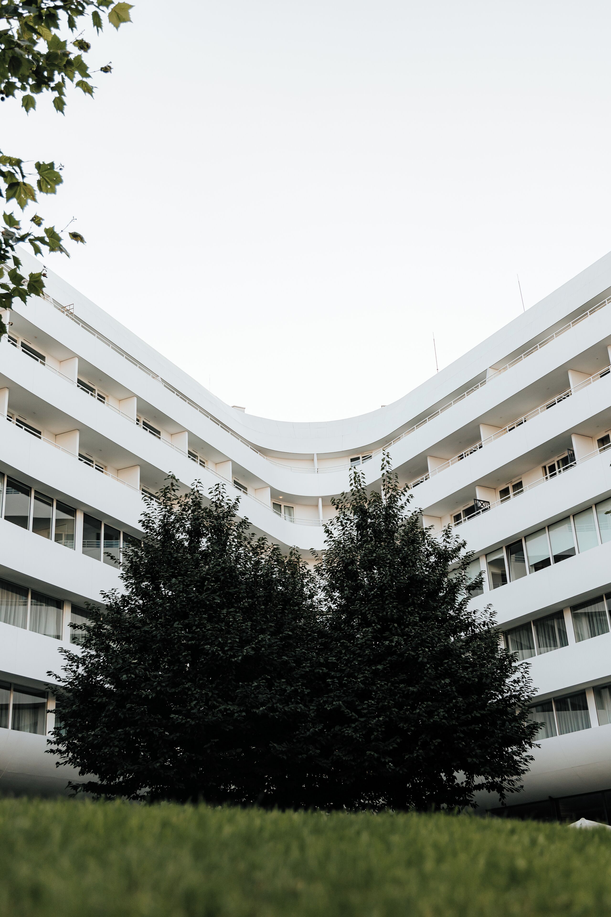 A modern building with multiple balconies and a central courtyard with two large trees.