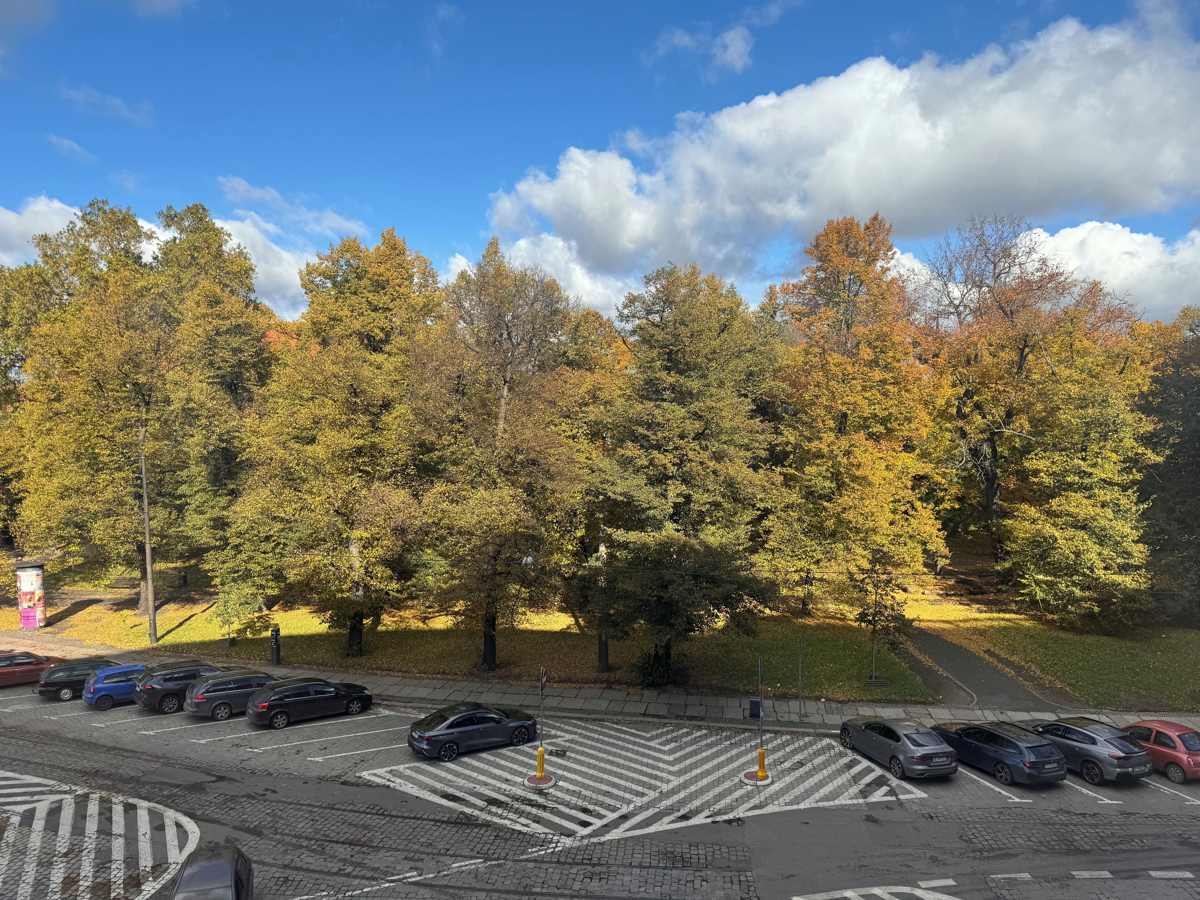 A parking lot with cars and trees in the background.