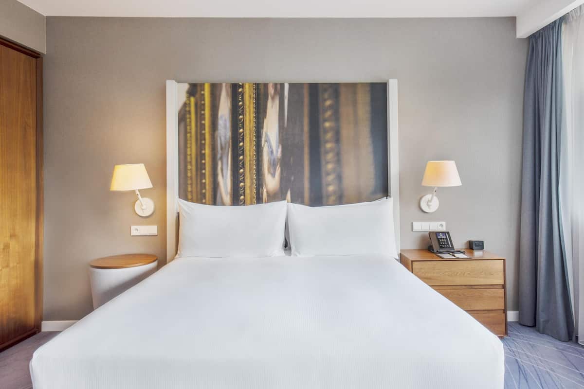 Minibar, caja de seguridad en la habitación y escritorio