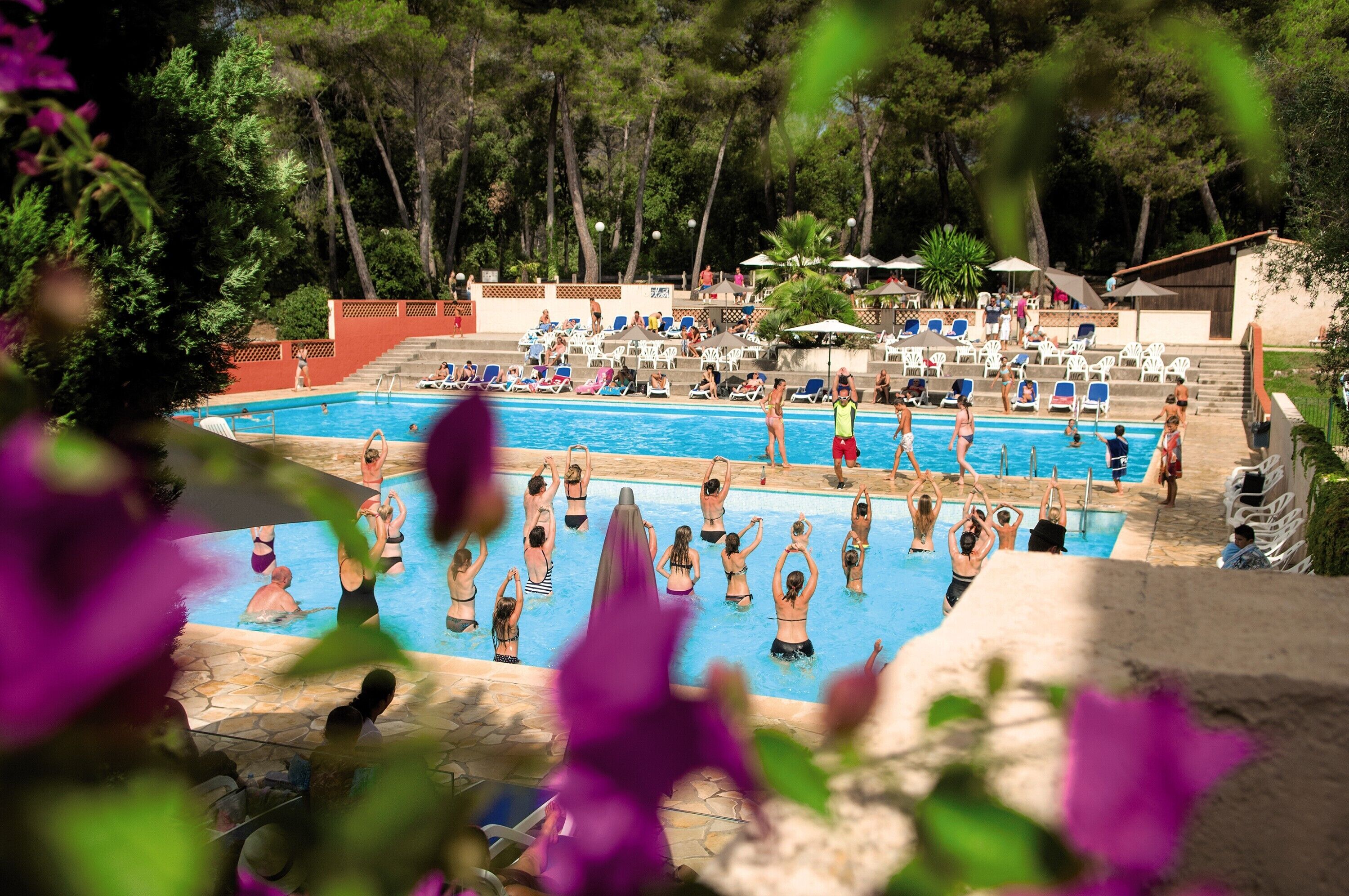 Una piscina con varias pistas, rodeada de sillones de descanso y sombrillas, ubicada en un área ajardinada con árboles.