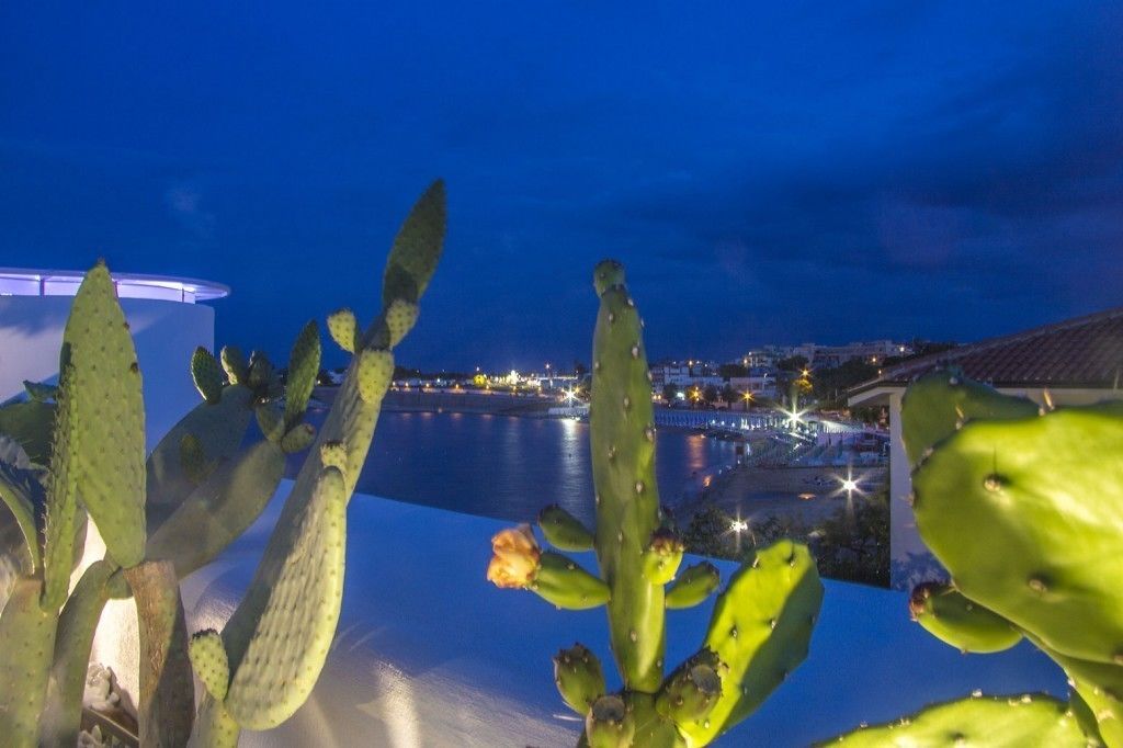 Una planta de cactus en primer plano, con un paisaje urbano y una masa de agua al fondo.